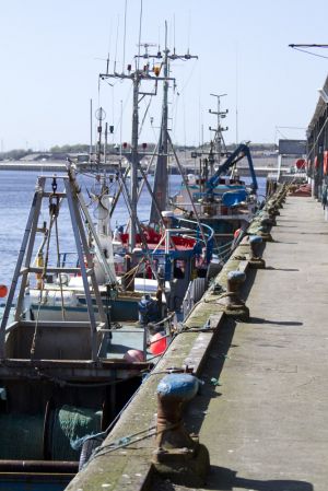 walkworth grange  fish quay 22 sm.jpg
